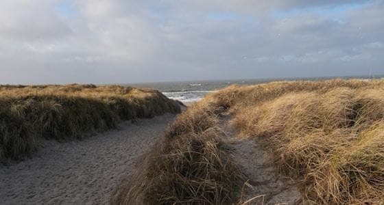 Sti gennem klitterne ned mod havet