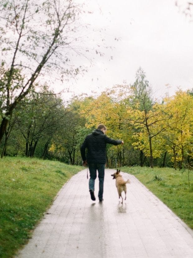 Person går tur med sin hund på en sti i efterårsskoven